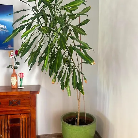 Nature Getaway - Modern House With Garden Barbaira